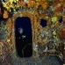 wreck_duane_kl_v_0044_fla5980.jpg